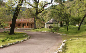 Gorgeous Saratoga Springs Retreat Center in Upper Lake, CA - the site of WORLD's 41st retreat!